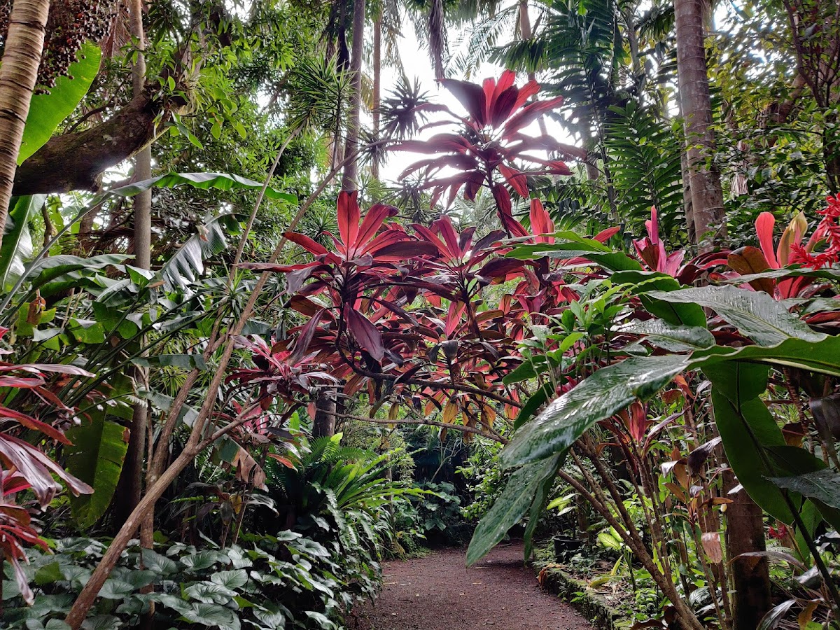 Jardin des Parfums et des Épices