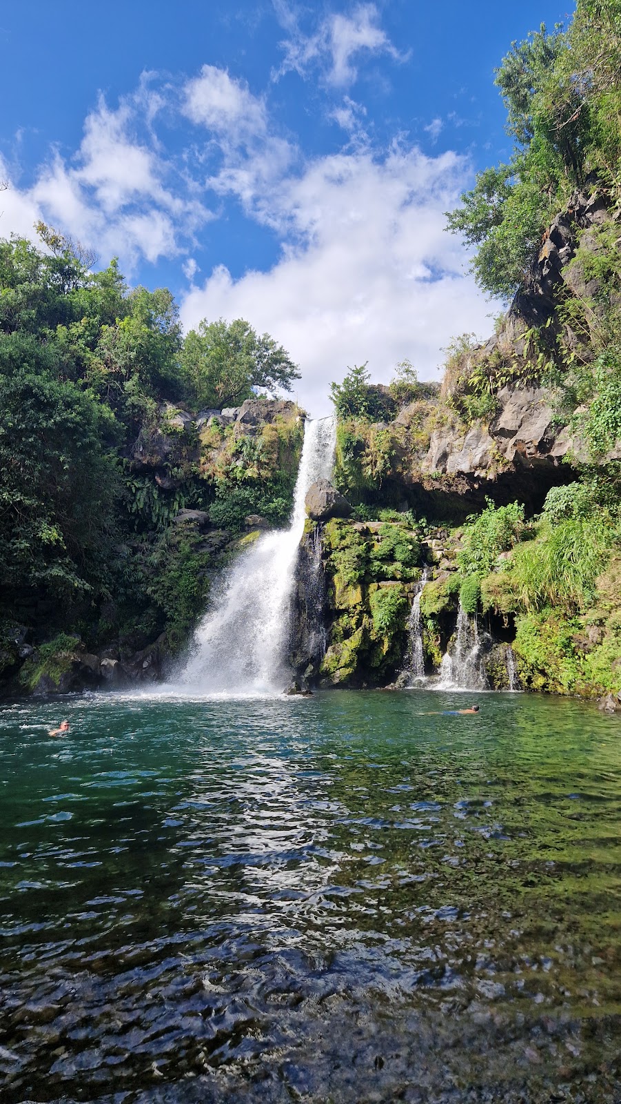 Cascade Jacqueline