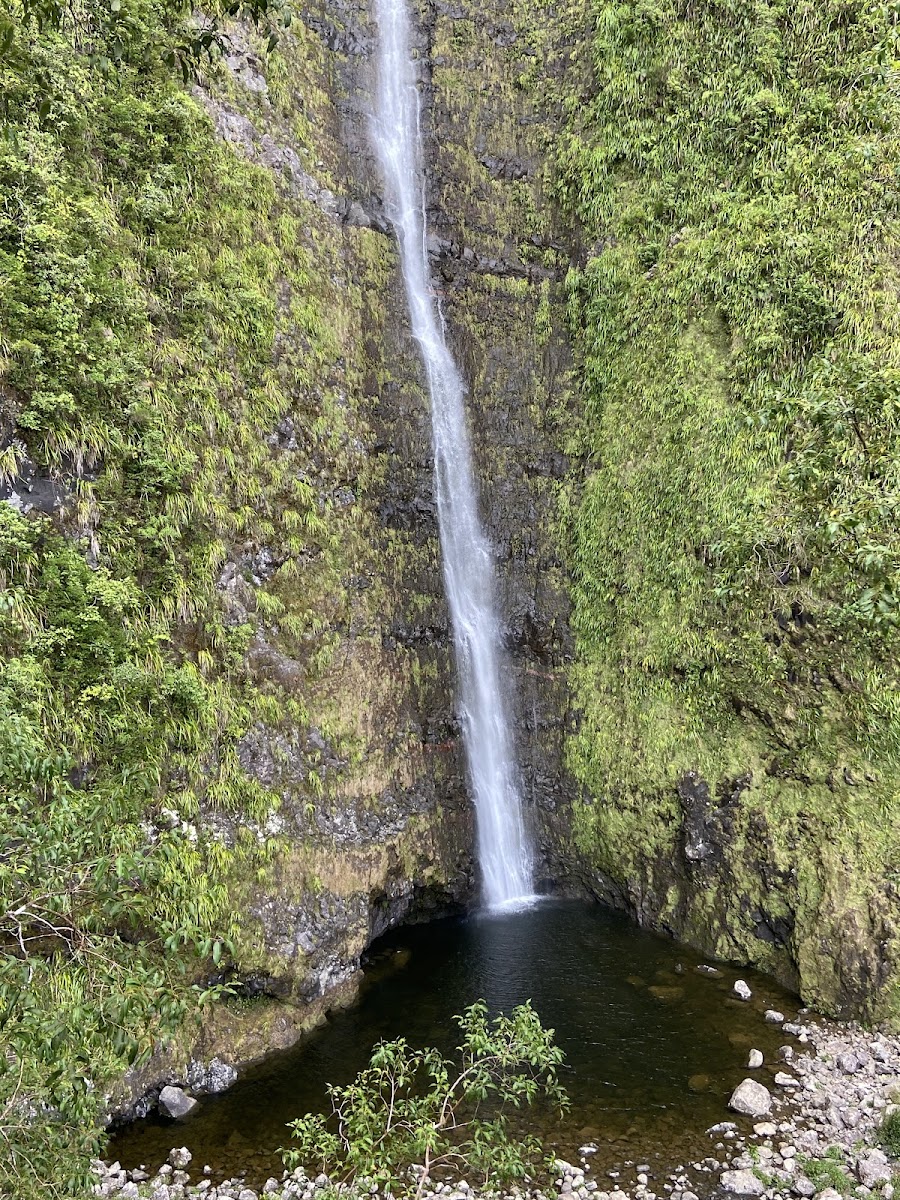 Cascade Biberon