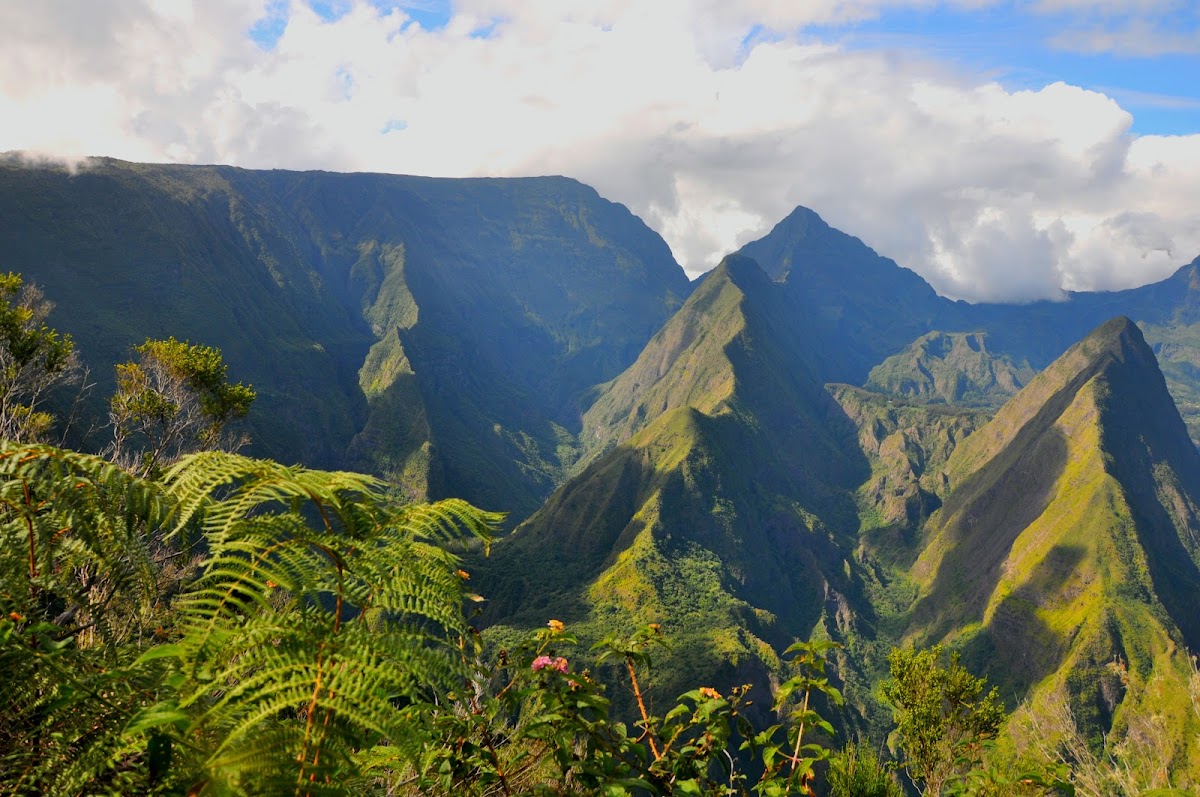Départ Boucle à Dos d’Ane par le sentier du Piton Batard et la Roche Verre Bouteille