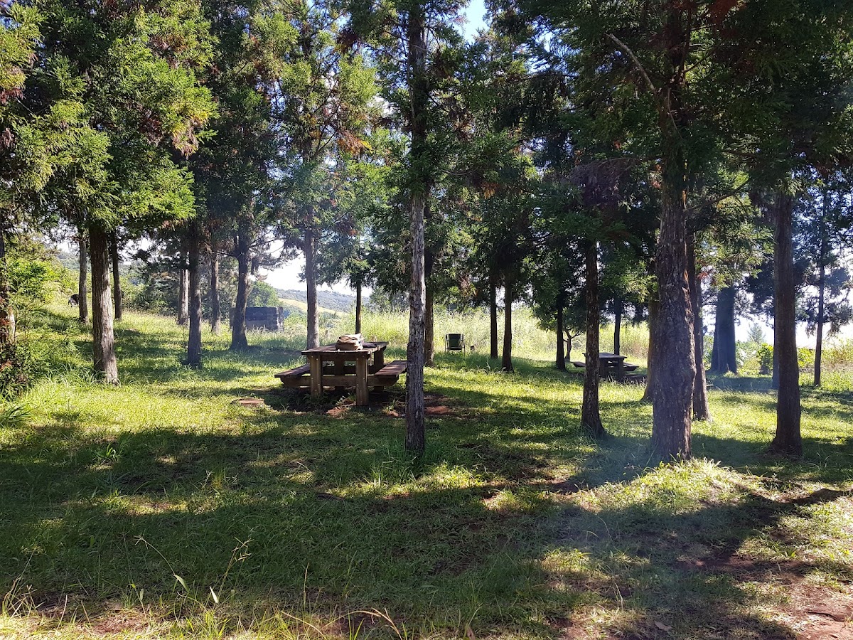 Point de vue du Piton Bois de Nèfles