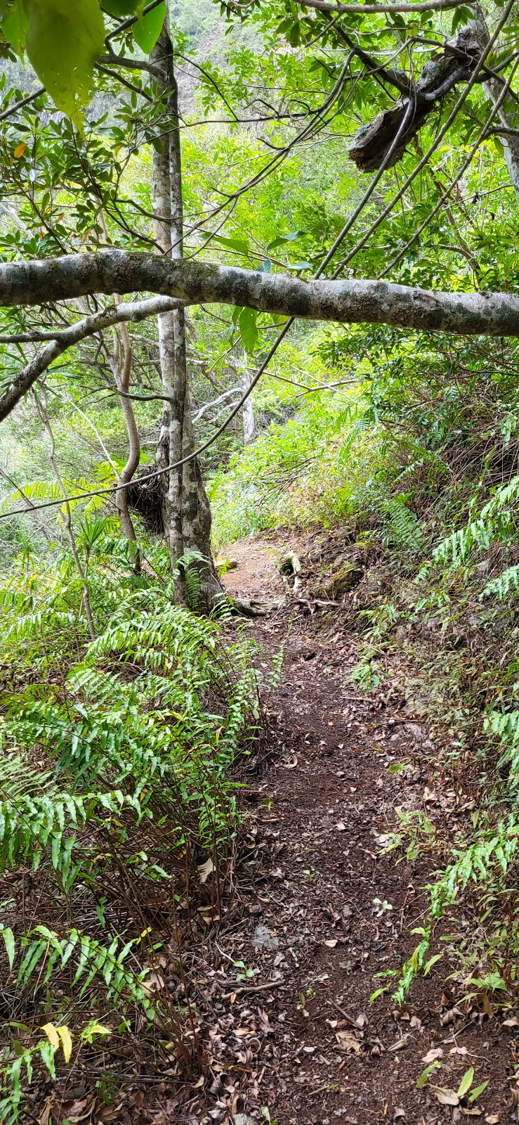 Point de vue des trois sources