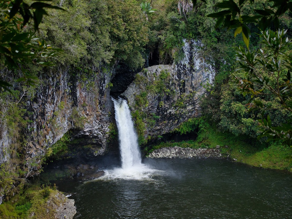 Bassin la Paix