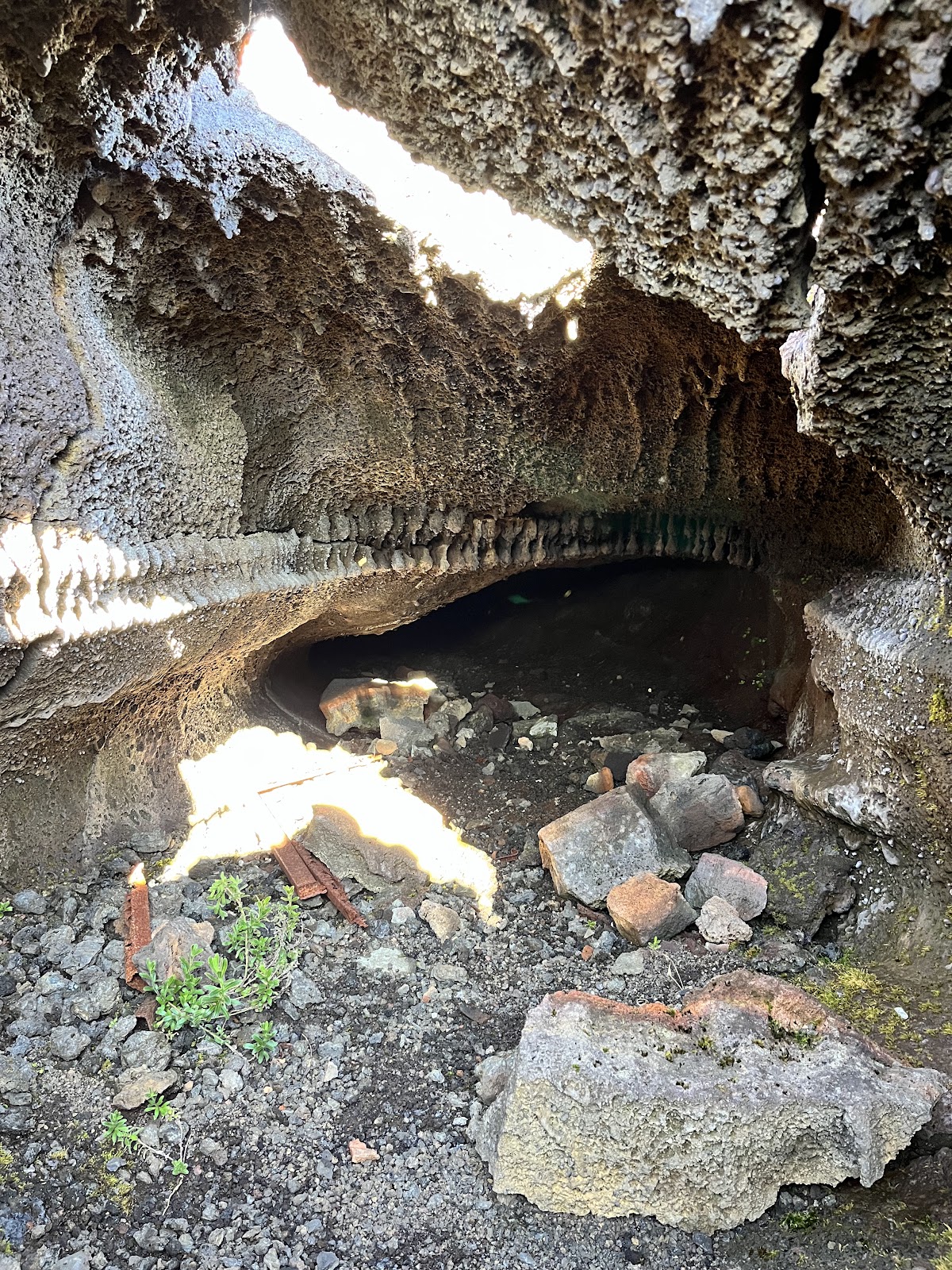 Tunnel bory