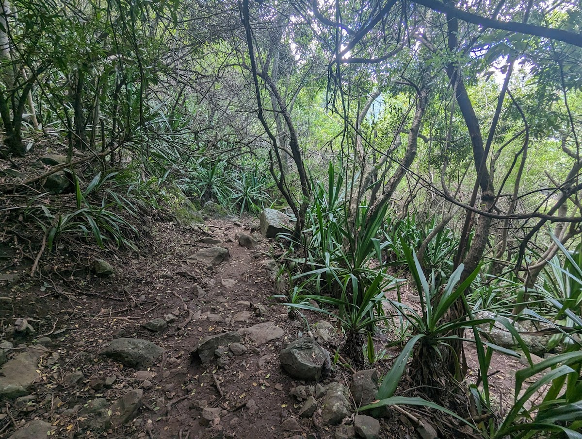 Sentier randonnée de l'Entre-Deux