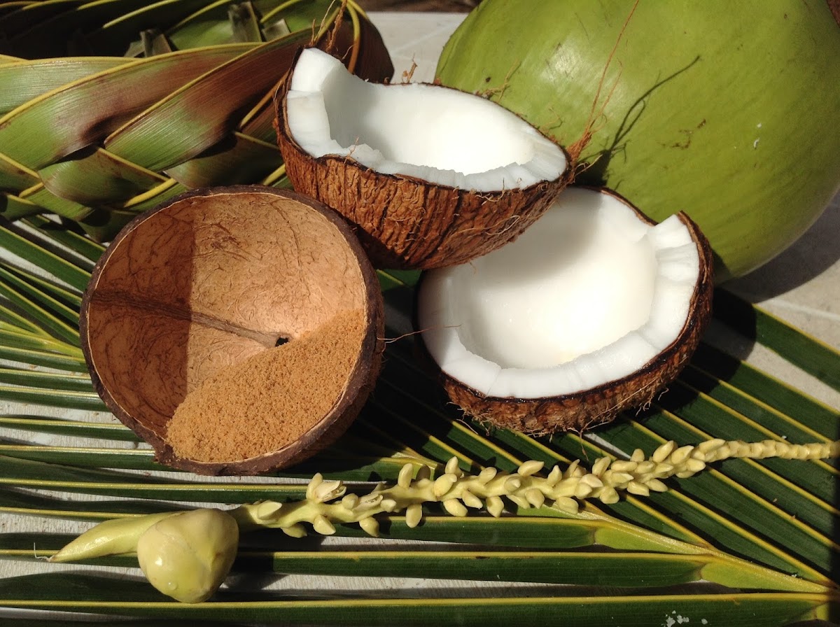 La Maison du Coco Réunion